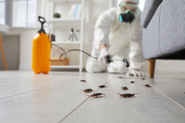 Commercial Kitchen Cockroach Control in Mokuleia